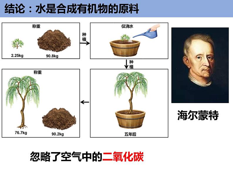 3.5.1 绿色植物与生物圈中的碳氧平衡课件PPT02