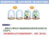 3.5.1 绿色植物与生物圈中的碳氧平衡课件PPT