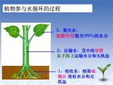 3.3 水循环课件PPT