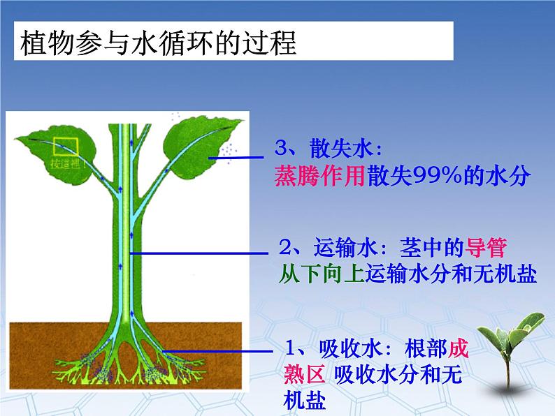 3.3 水循环课件PPT第2页