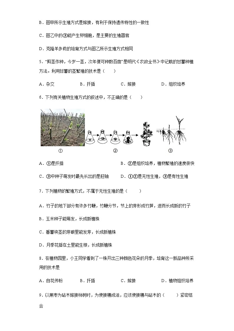 人教版生物八年级下册：7.1.1植物的生殖（含解析） 试卷02