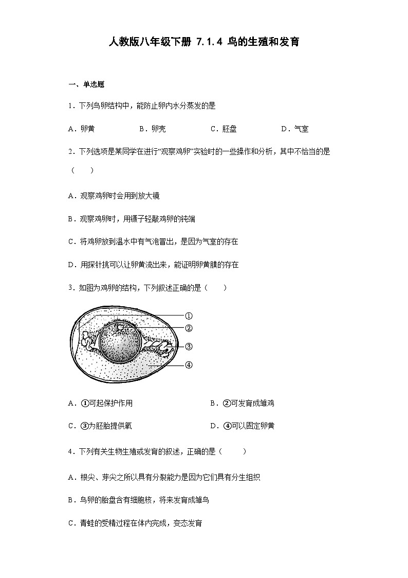 人教版生物八年级下册：7.1.4鸟的生殖和发育（含解析）第1页