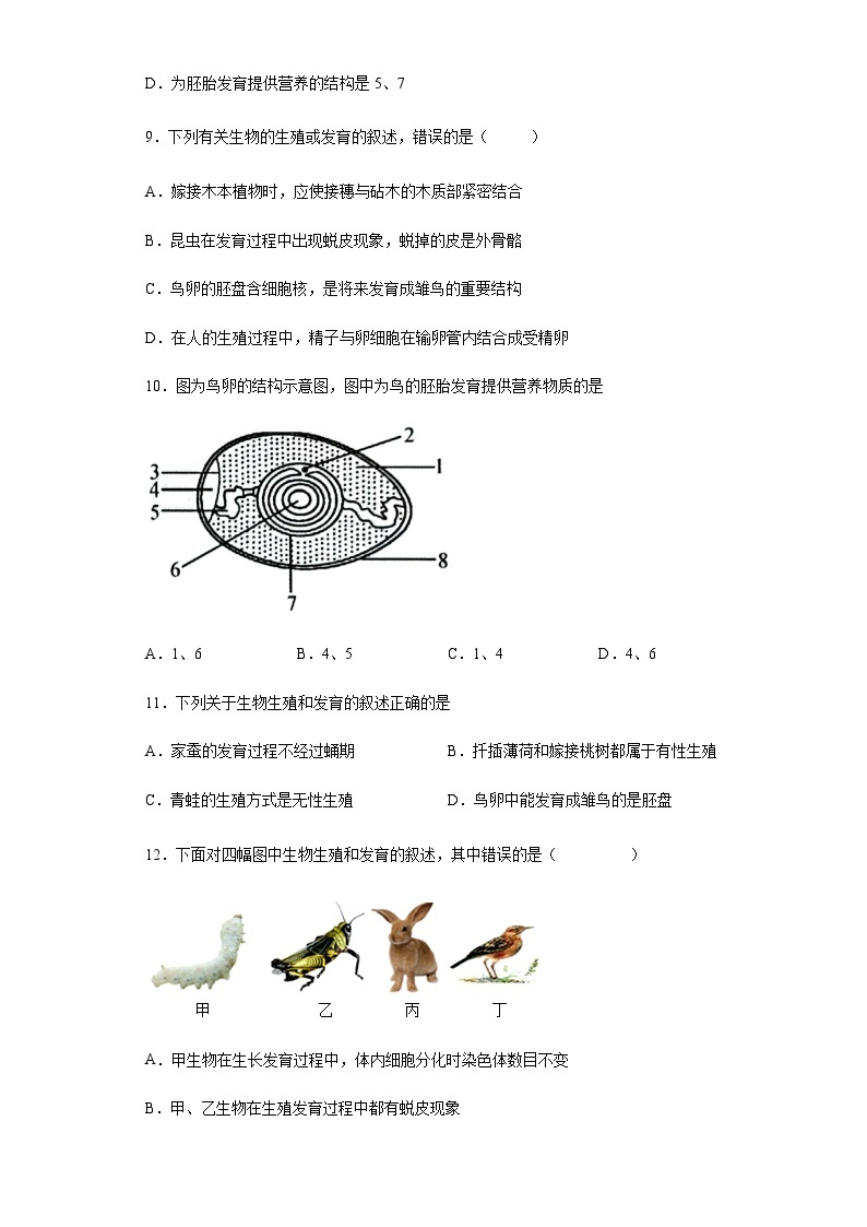 人教版生物八年级下册：7.1.4鸟的生殖和发育（含解析） 试卷03