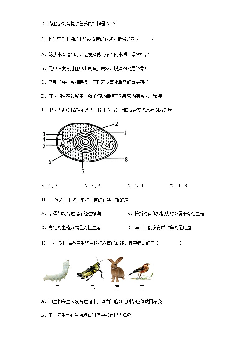 人教版生物八年级下册：7.1.4鸟的生殖和发育（含解析）第3页
