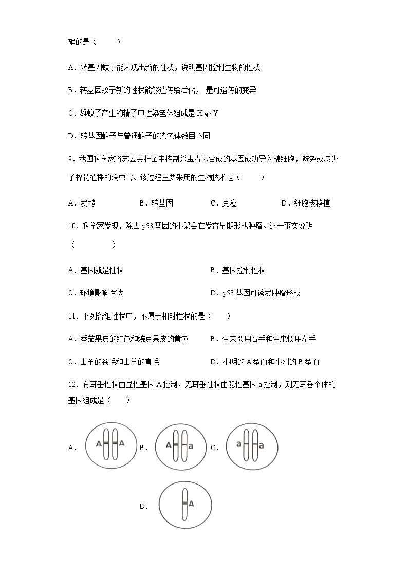 人教版生物八年级下册：7.2.1基因控制生物的性状（含解析） 试卷03