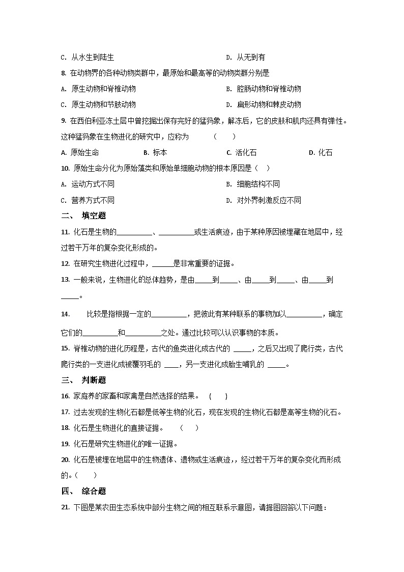 人教版生物八年级下册：7.3.2生物进化的历程单元试卷（含解析）02