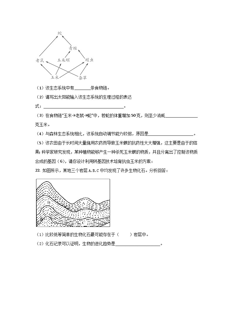 人教版生物八年级下册：7.3.2生物进化的历程单元试卷（含解析）03