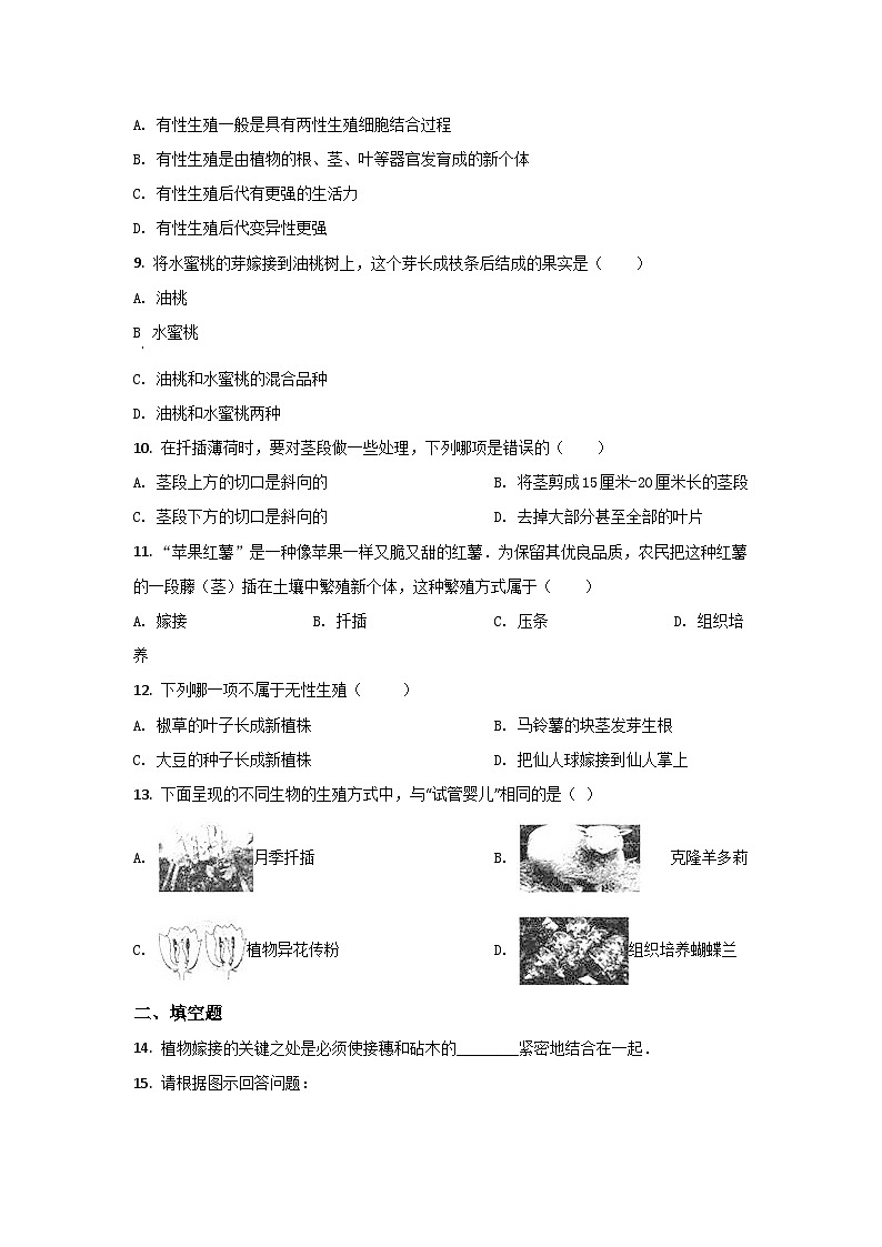 人教版生物八年级下册：第七单元第三章生命起源和生物进化单元试卷（含解析）02
