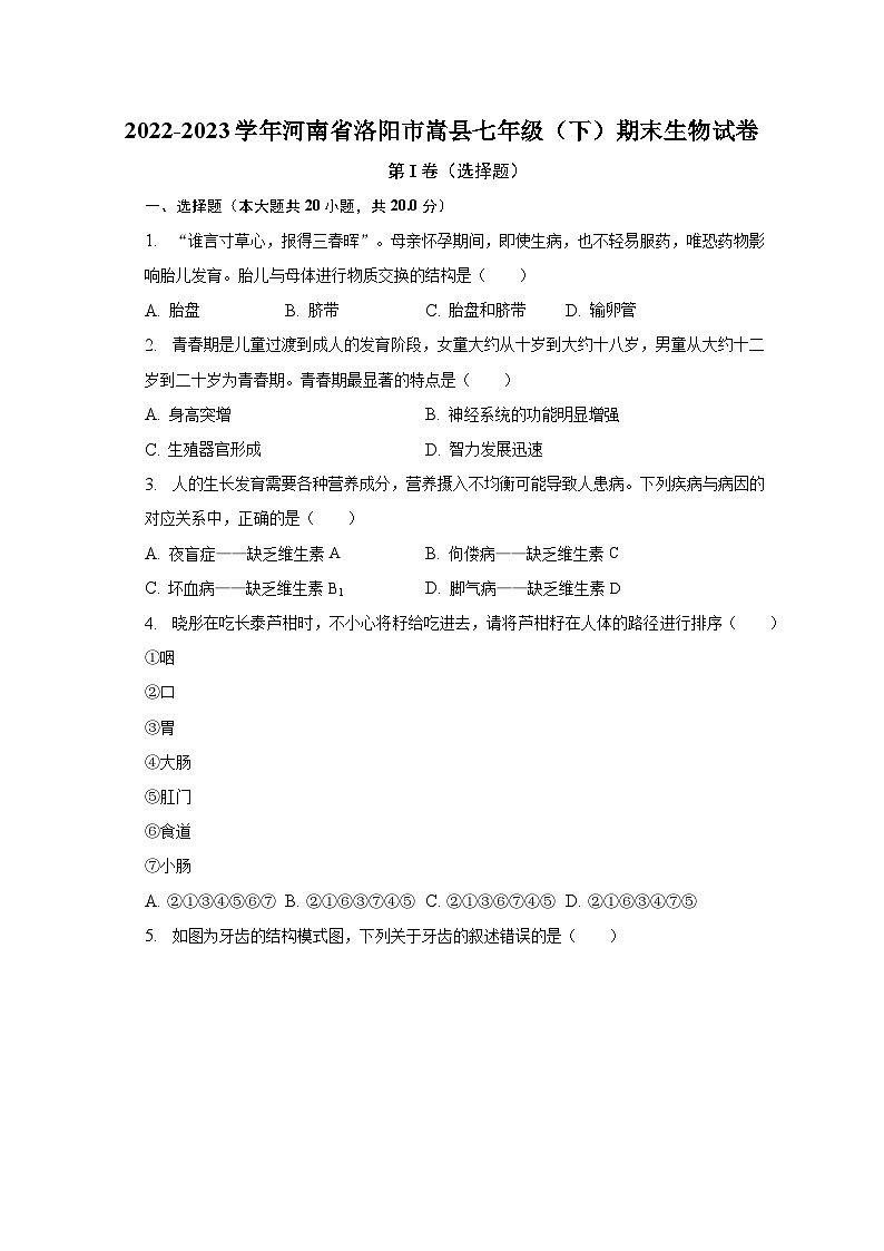 2022-2023学年河南省洛阳市嵩县七年级（下）期末生物试卷（含解析）第1页