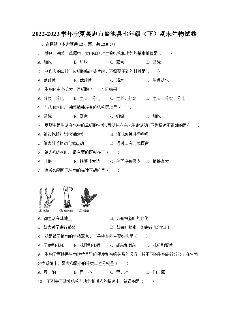 2022-2023学年宁夏吴忠市盐池县七年级（下）期末生物试卷（含解析）01