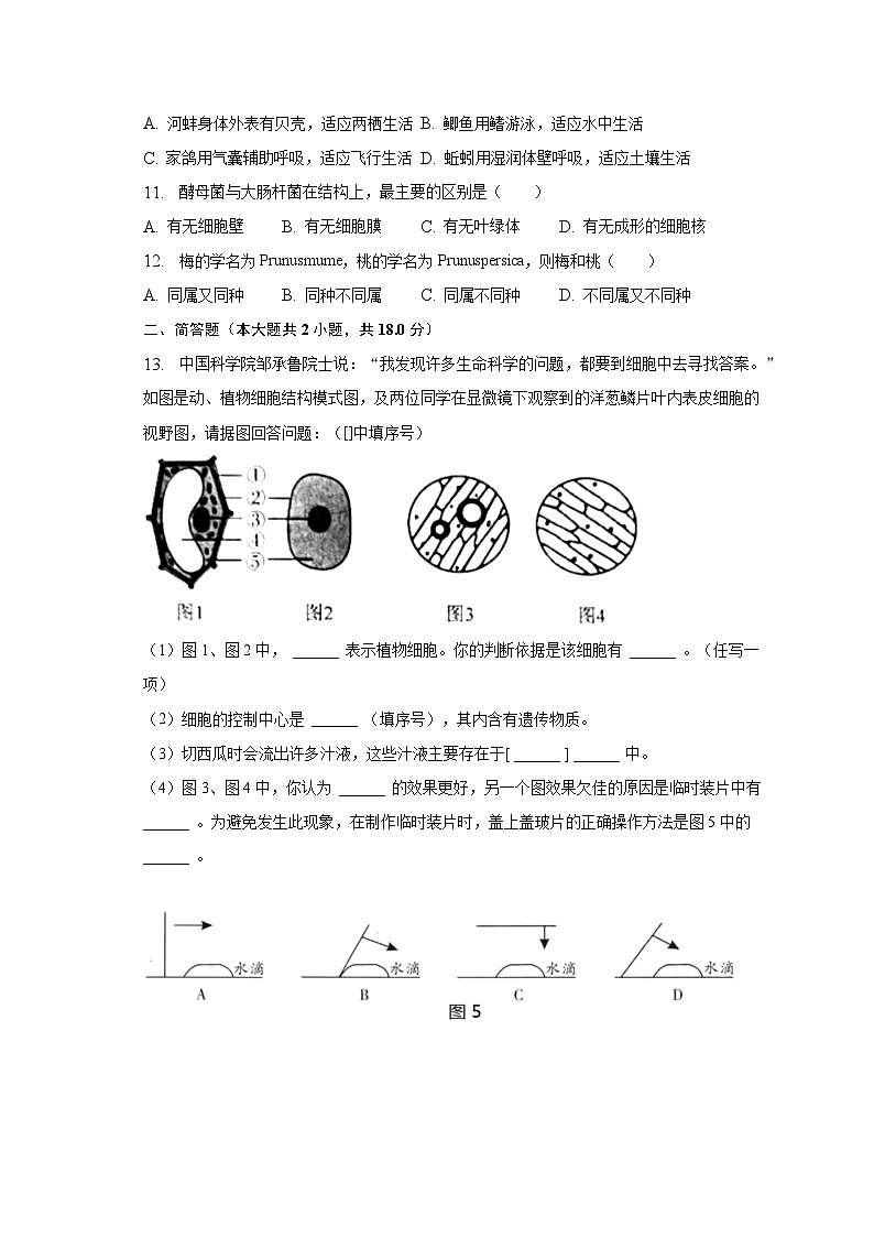 2022-2023学年宁夏吴忠市盐池县七年级（下）期末生物试卷（含解析）02