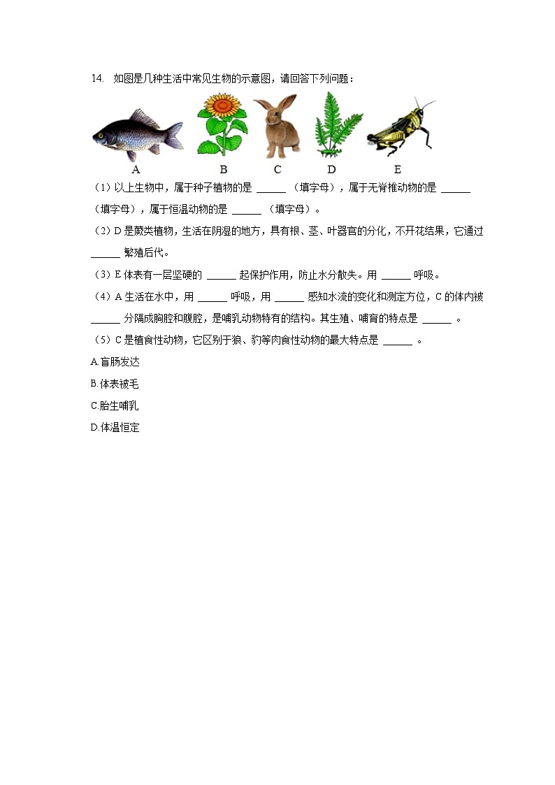 2022-2023学年宁夏吴忠市盐池县七年级（下）期末生物试卷（含解析）03