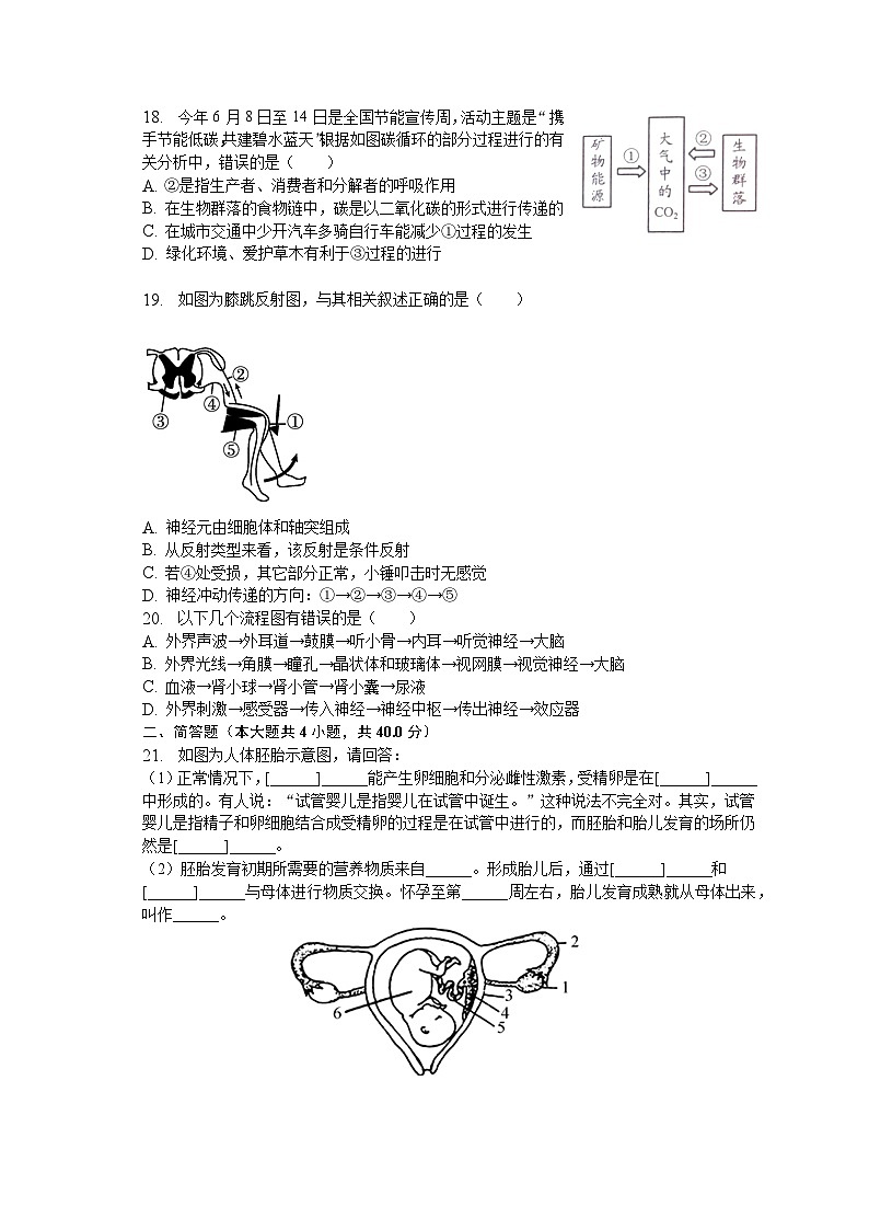安徽省芜湖市南陵县2022-2023学年七年级下学期期末生物试卷（含答案）03