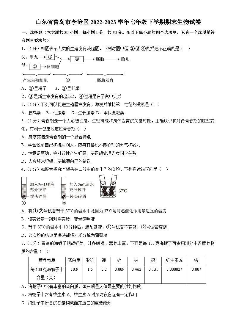 山东省青岛市李沧区2022-2023学年七年级下学期期末生物试卷（含答案）01