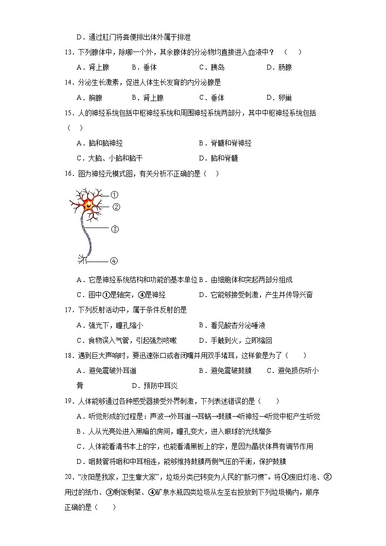 河南省洛阳市汝阳县2022-2023学年七年级下学期期末生物试题（含答案）第3页