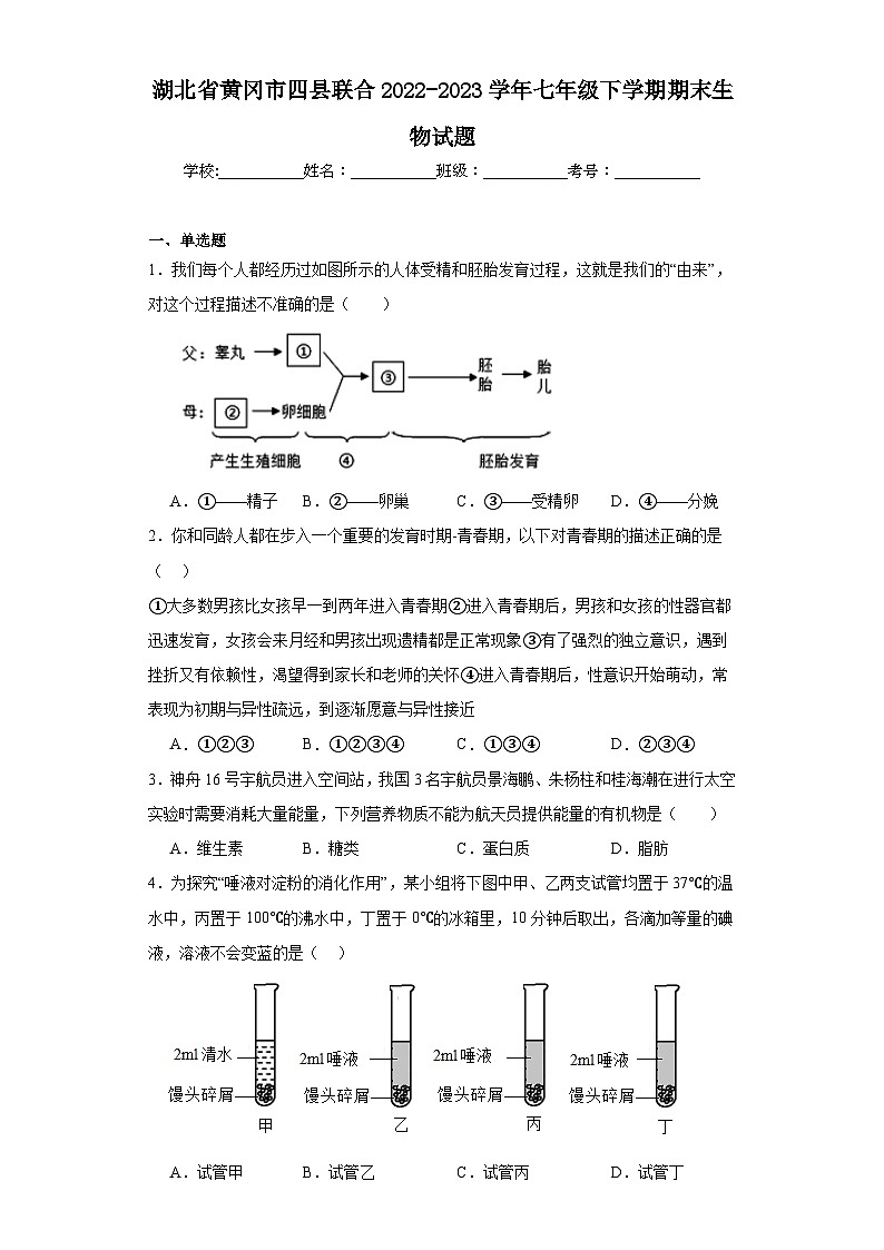 湖北省黄冈市四县联合2022-2023学年七年级下学期期末生物试题（含答案）第1页