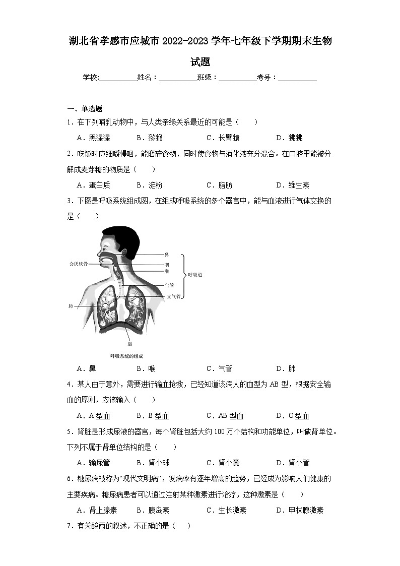 湖北省孝感市应城市2022-2023学年七年级下学期期末生物试题（含答案）01