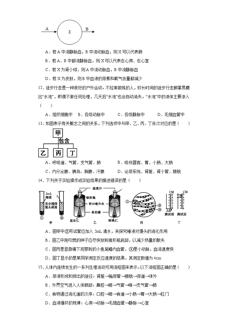 湖南省张家界市永定区2022-2023学年七年级下学期期末生物试题（含答案）第3页