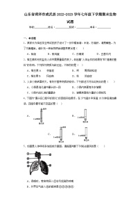 山东省菏泽市成武县2022-2023学年七年级下学期期末生物试题（含答案）