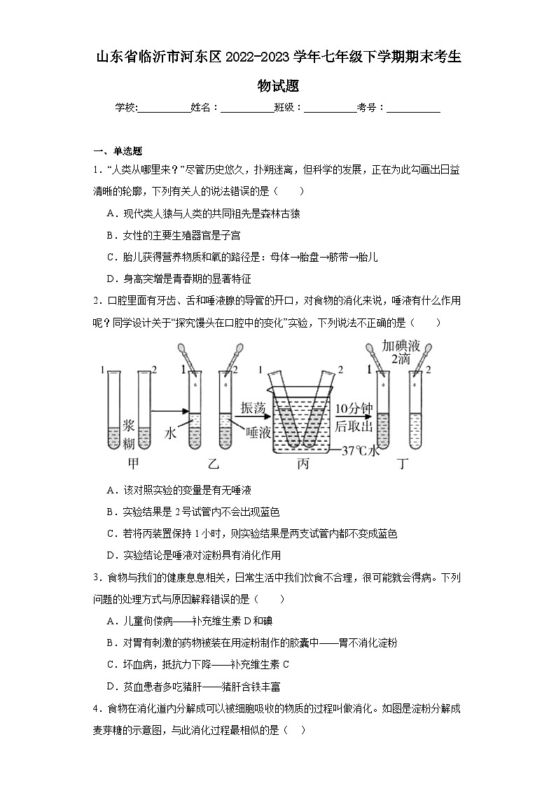 山东省临沂市河东区2022-2023学年七年级下学期期末考生物试题（含答案）第1页