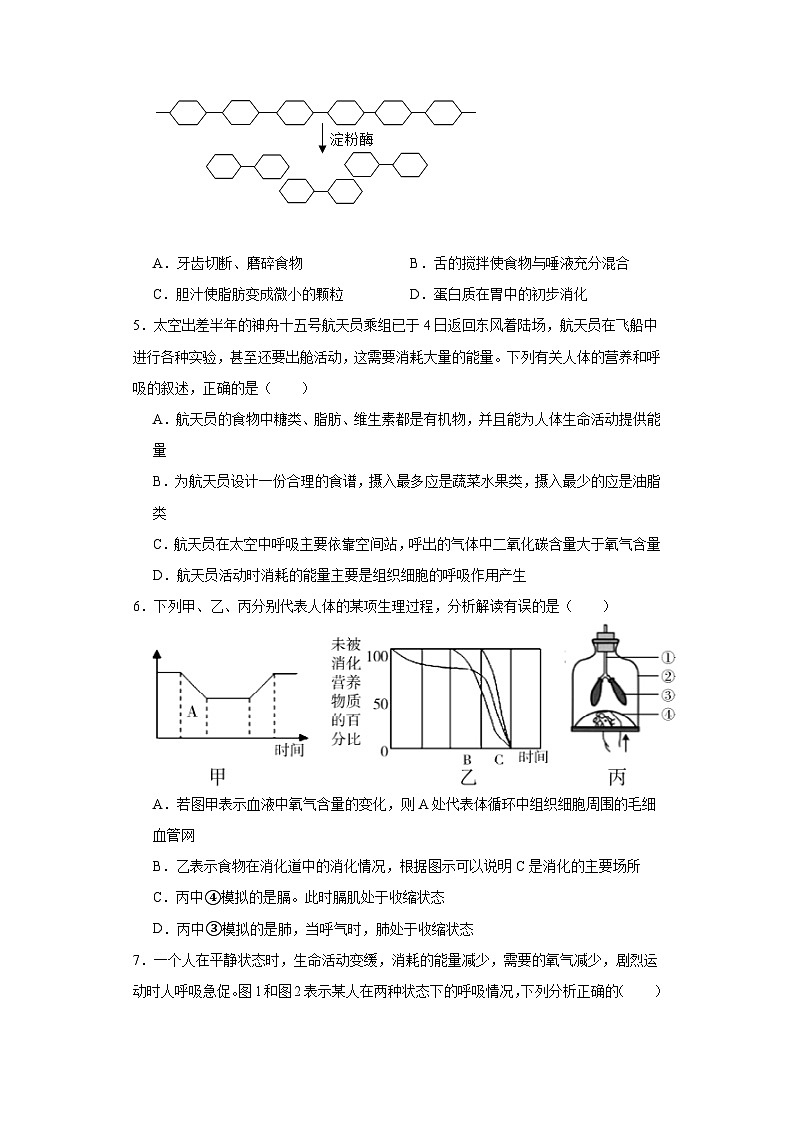 山东省临沂市河东区2022-2023学年七年级下学期期末考生物试题（含答案）第2页