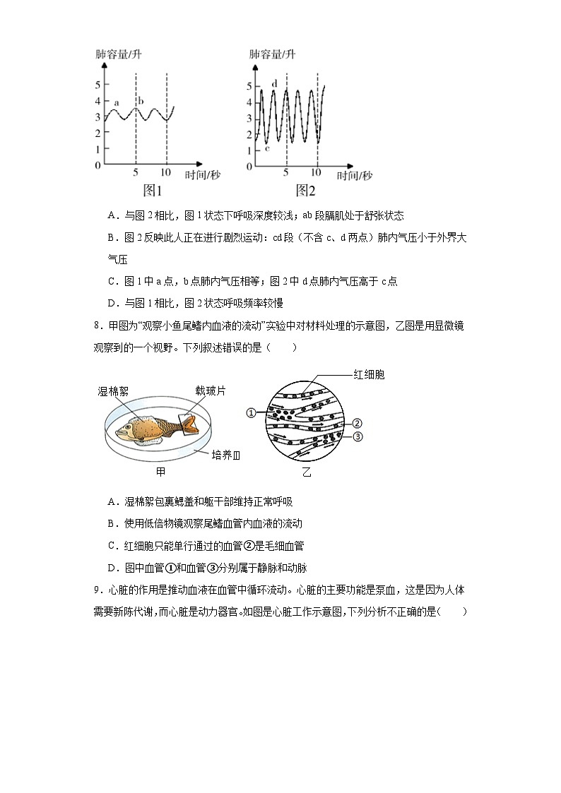 山东省临沂市河东区2022-2023学年七年级下学期期末考生物试题（含答案）第3页