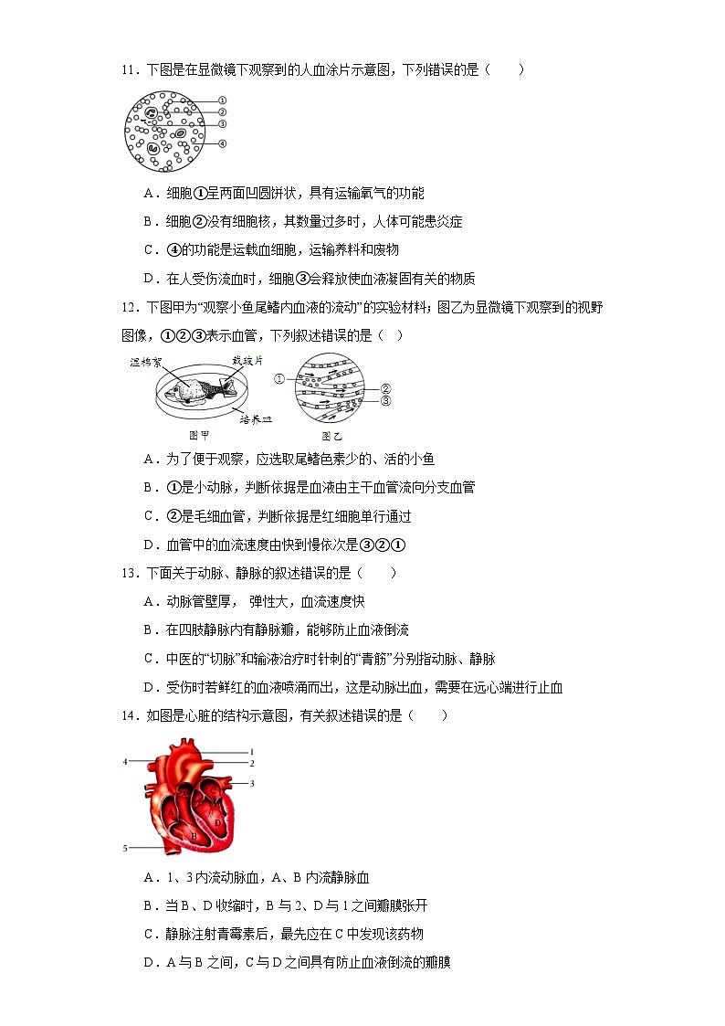 山东省临沂市兰陵县2022-2023学年七年级下学期期末生物试题（含答案）03