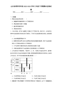 山东省菏泽市单县2022-2023学年八年级下学期期末生物试题（含答案）