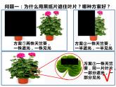 3.4.1绿色植物是生物圈中有机物的制造者 公开课课件