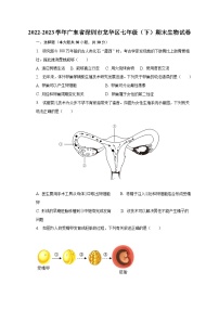 2022-2023学年广东省深圳市龙华区七年级（下）期末生物试卷（含解析）