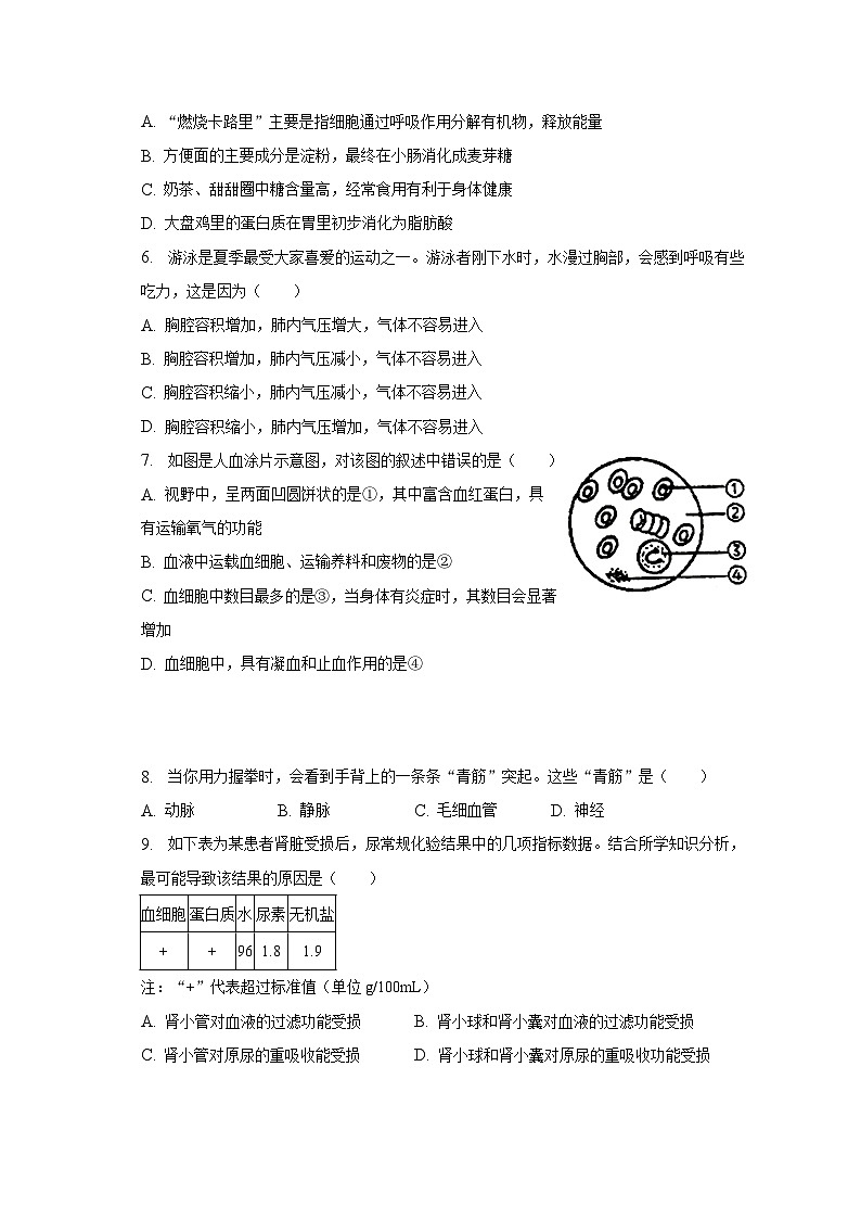 2022-2023学年广西南宁市经开区七年级（下）期末生物试卷（含解析）02