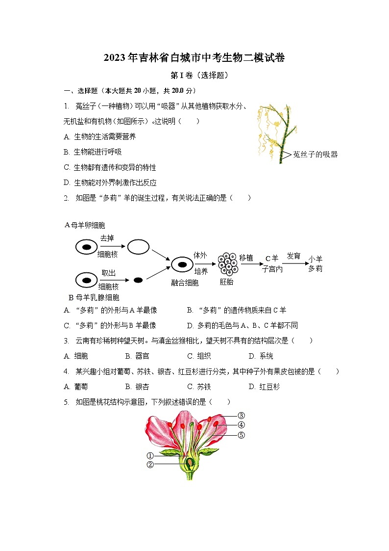2023年吉林省白城市中考生物二模试卷（含解析）第1页