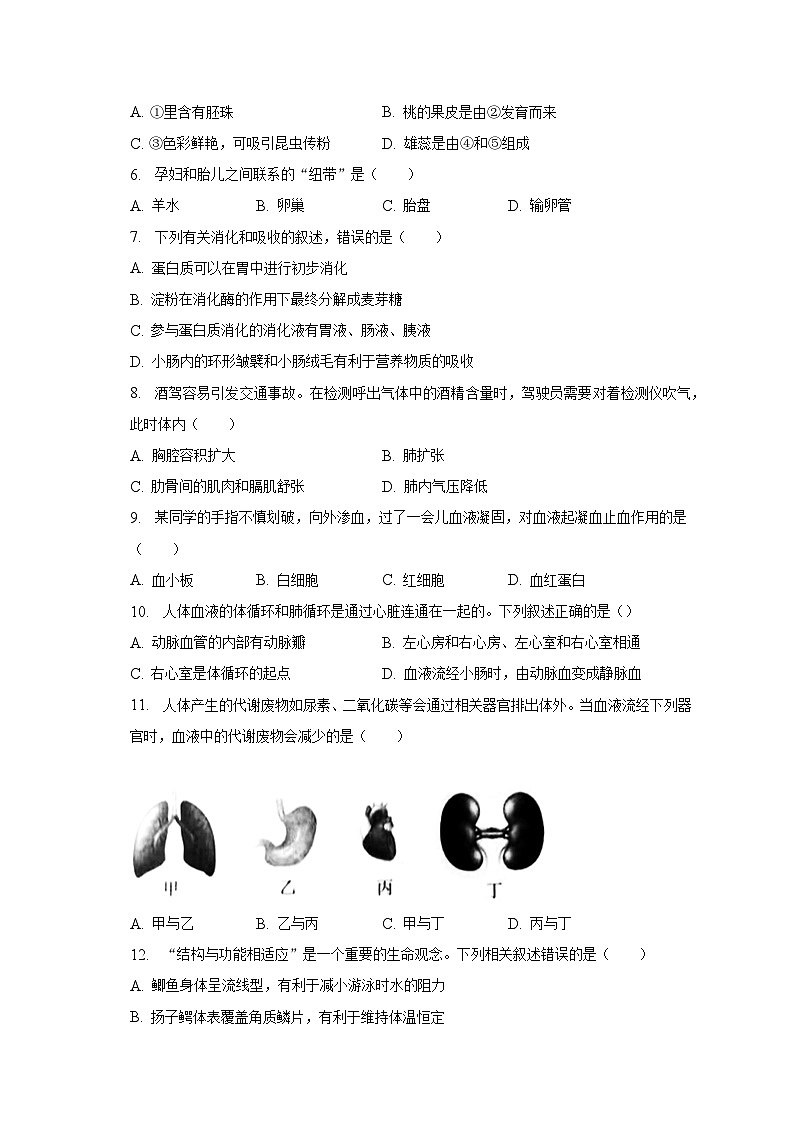 2023年吉林省白城市中考生物二模试卷（含解析）第2页