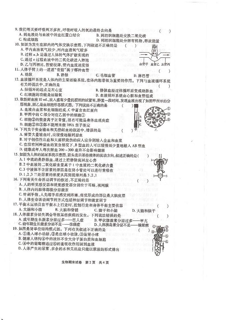 河南省信阳市第七中学2023-2023学年七年级下学期期末考试生物试题第2页