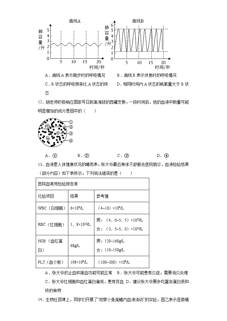 广东省深圳市龙岗区2022-2023学年七年级下学期期末生物试题（含答案）第3页