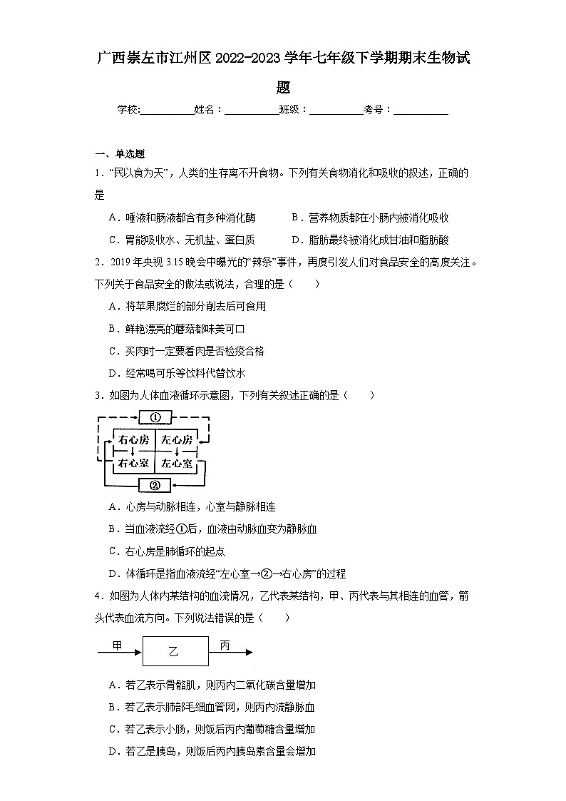 广西崇左市江州区2022-2023学年七年级下学期期末生物试题（含答案）01