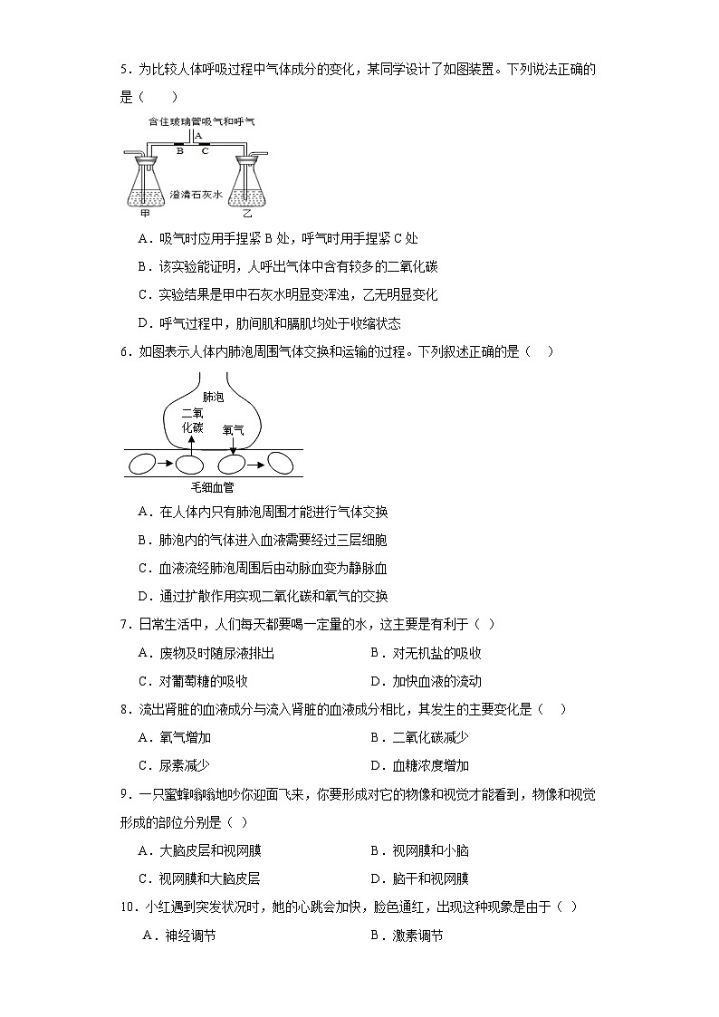 广西崇左市江州区2022-2023学年七年级下学期期末生物试题（含答案）02