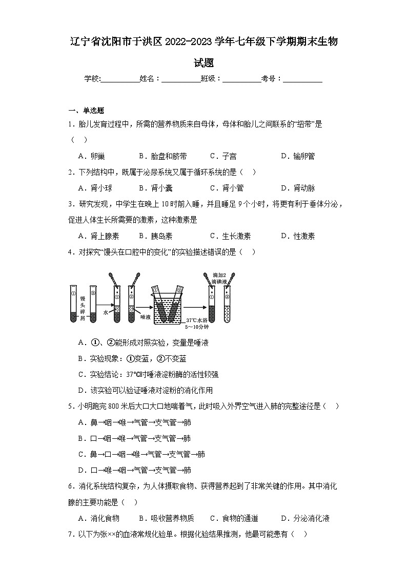辽宁省沈阳市于洪区2022-2023学年七年级下学期期末生物试题（含答案）01