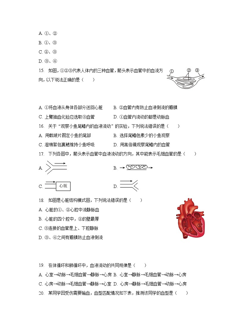 广东省东莞市2022-2023学年七年级下学期期末生物试卷（含答案）第3页