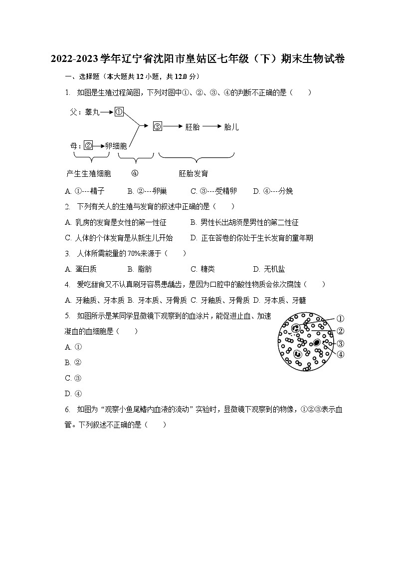 辽宁省沈阳市皇姑区2022-2023学年七年级下学期期末生物试卷（含答案）01
