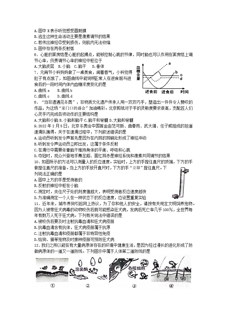 山东省东营市广饶县2022-2023学年七年级下学期期末质量检测生物试题（含答案）02