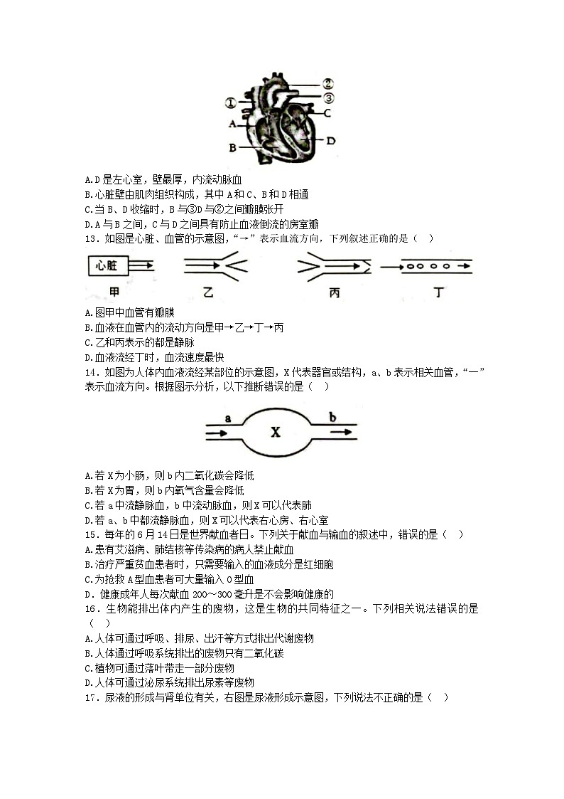 山东省临沂市莒南县2022-2023学年七年级下学期期末考试生物试题（含答案）第3页