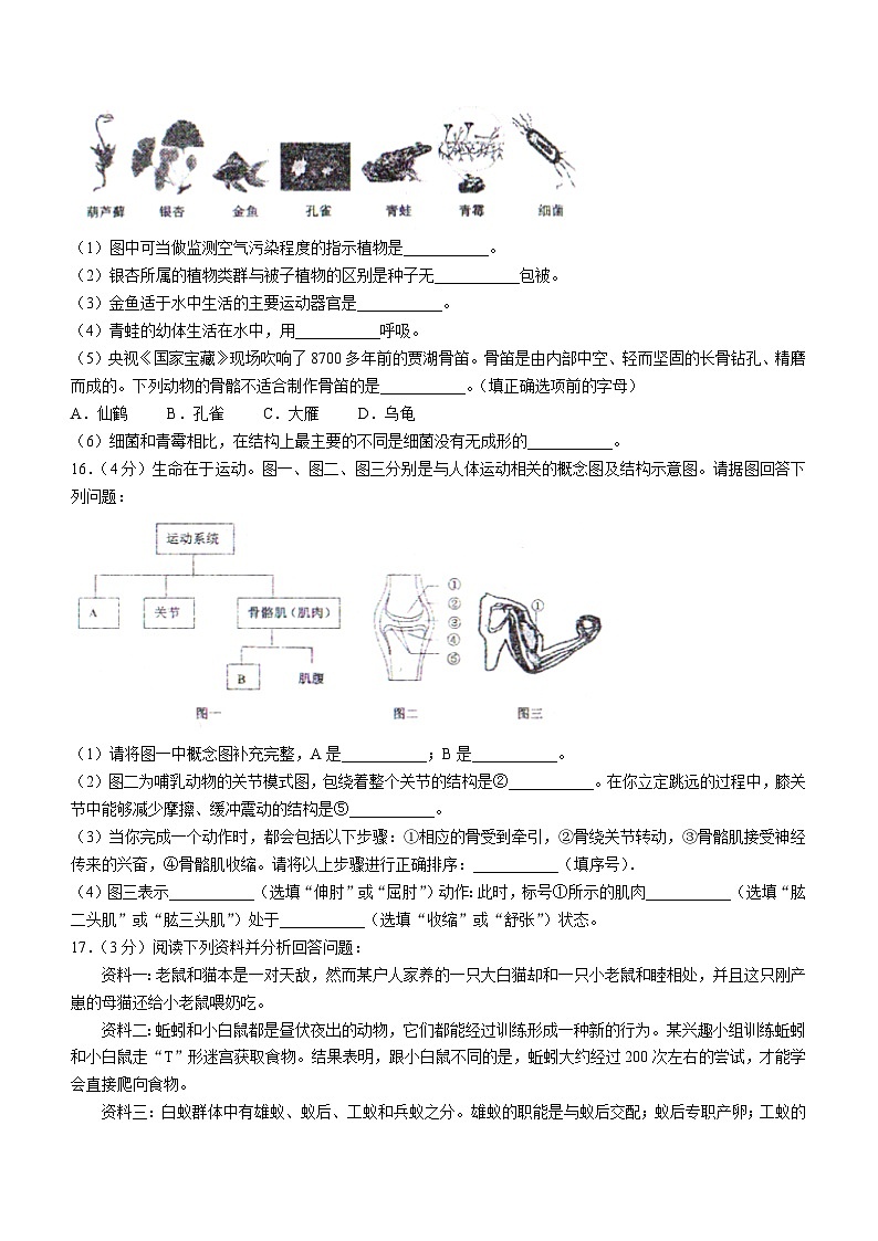辽宁省沈阳市法库县2022-2023学年八年级上学期期末（线下）生物试题（含答案）03