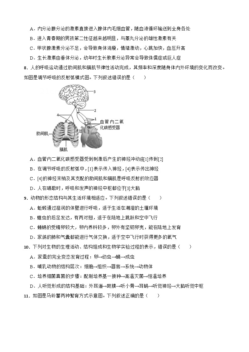 山东省泰安市2023年中考生物试卷（附答案）第3页