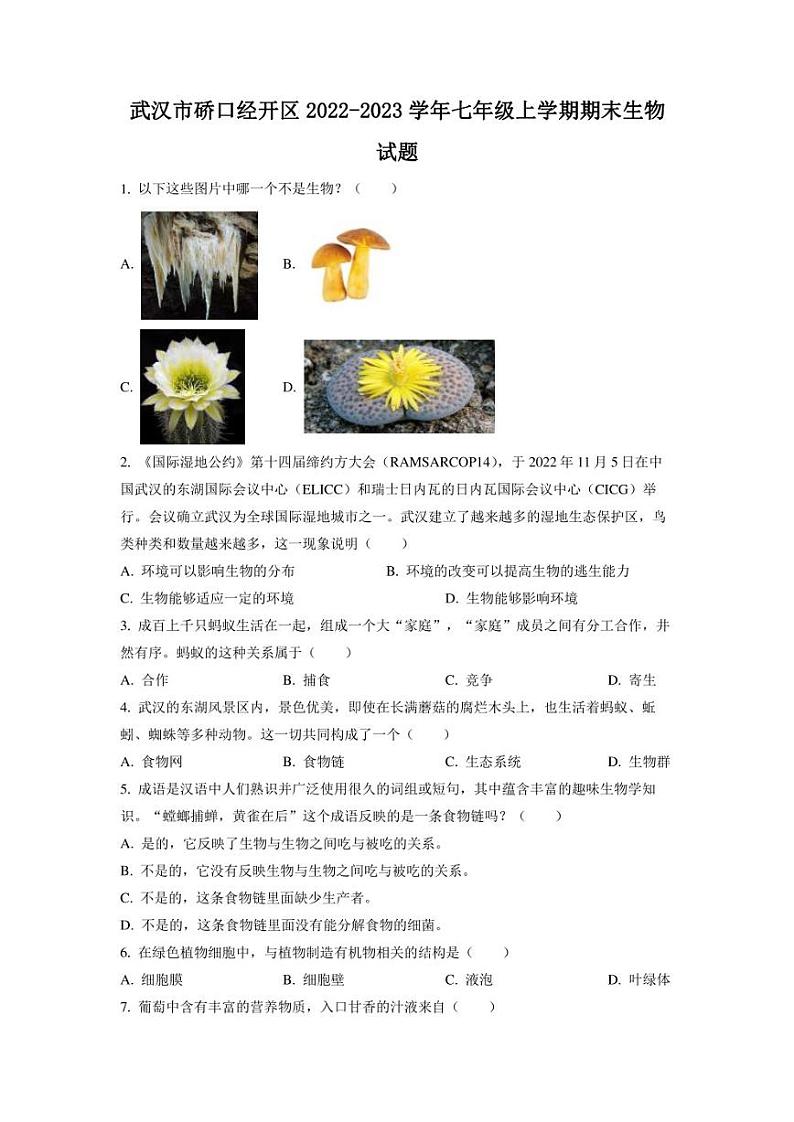 湖北省武汉市硚口经开区2022-2023学年七年级上学期期末生物试题第1页