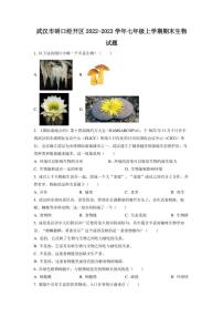 湖北省武汉市硚口经开区2022-2023学年七年级上学期期末生物试题含参考答案