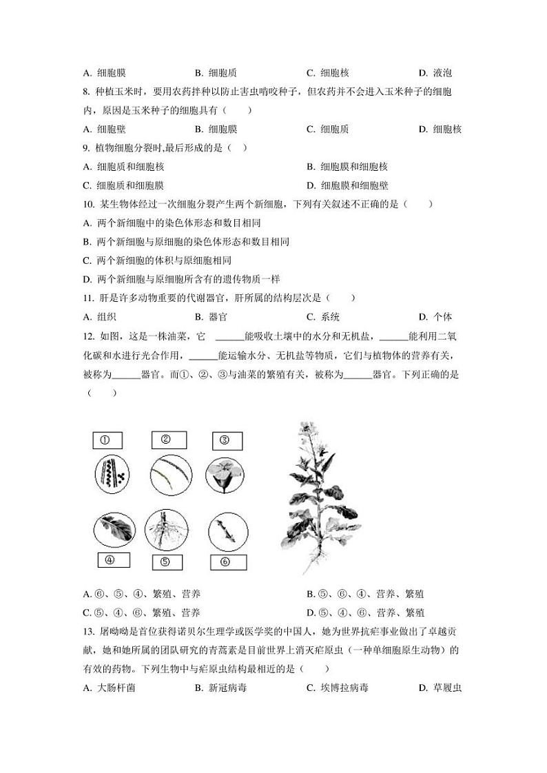 湖北省武汉市硚口经开区2022-2023学年七年级上学期期末生物试题含参考答案02