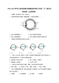 2022-2023学年山东省济南市钢城实验学校七年级（下）期末生物试卷（五四学制）（含解析）