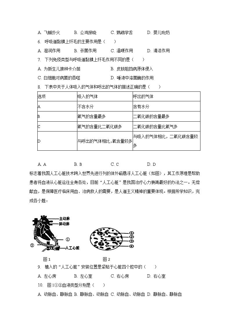 2022-2023学年福建省泉州市石狮市七年级（下）期末生物试卷（含解析）02