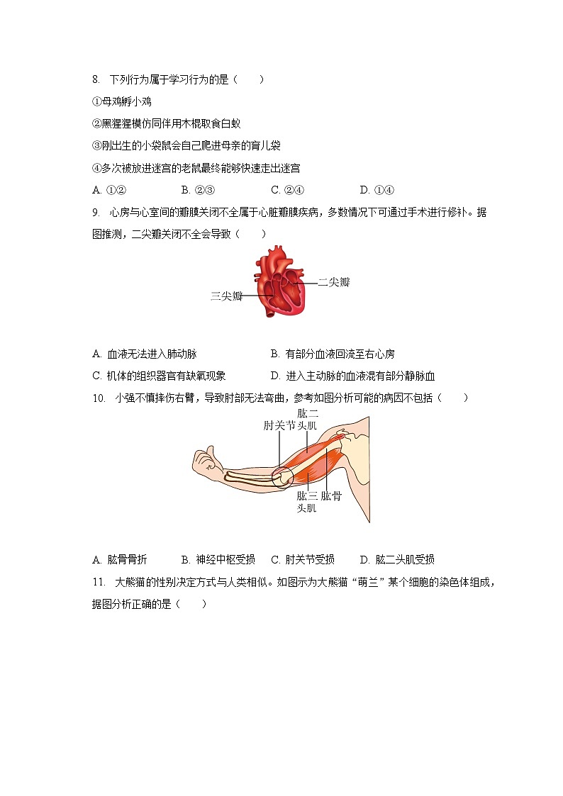 2023年辽宁省锦州三中中考生物三模试卷（含解析）02